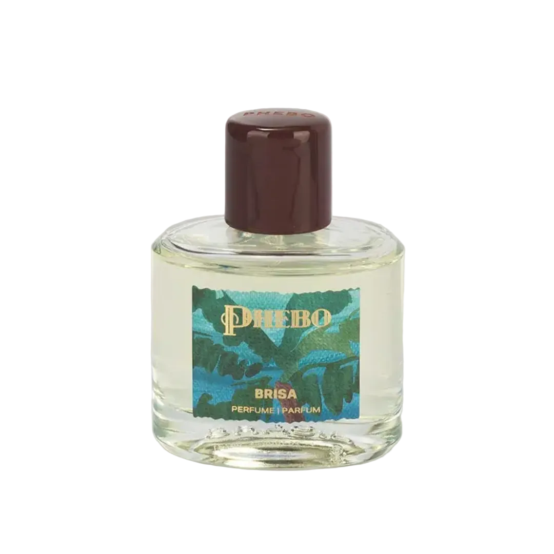 Brisa Perfume Grapefruit Bergamot Cedar Wood Musk Fragance 100ml Phebo