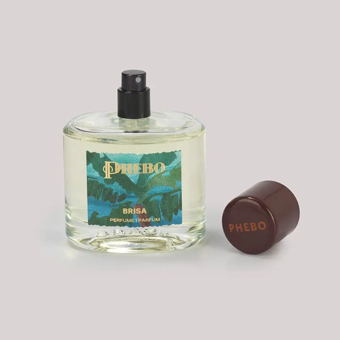 Brisa Perfume Grapefruit Bergamot Cedar Wood Musk Fragance 100ml Phebo