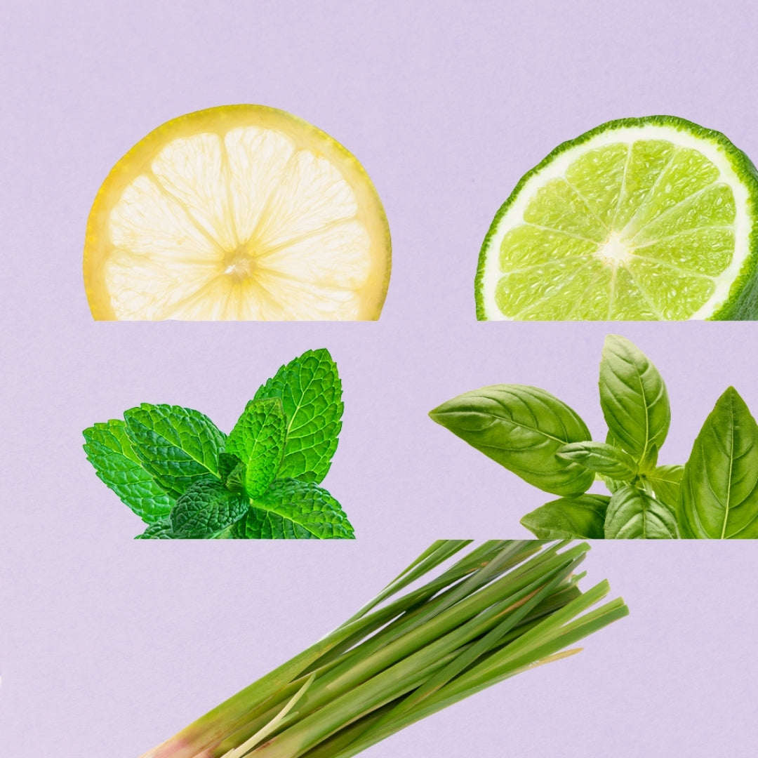 Bergamote Basilic Deo Colonia Spicy Citrus Fragance 300ml L'occitane Perfume