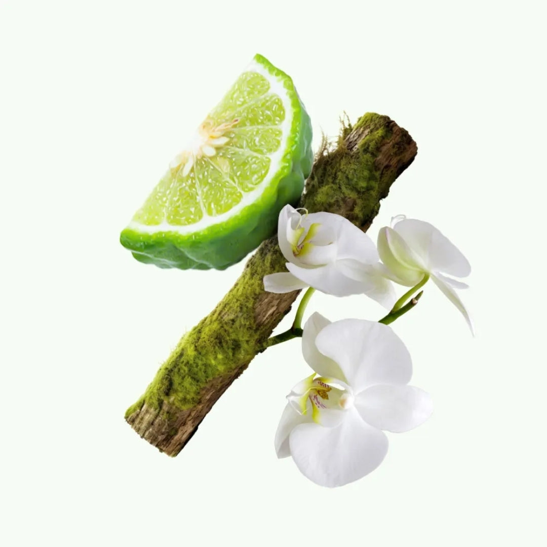 Sayonara Deo Cologne Citrus Floral Woody Fragance 100ml Chlorophylla Perfume