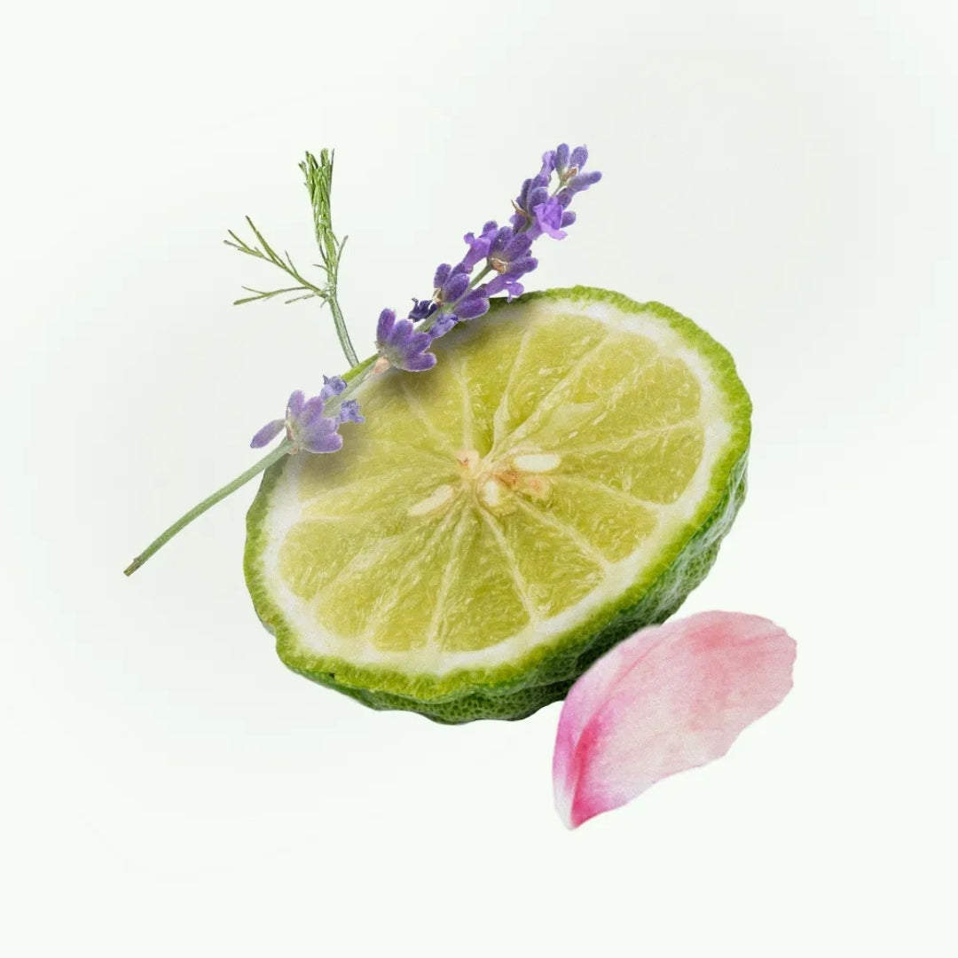 Eibi Eau de Cologne Floral Lavender Body Fragance 100ml Chlorophylla Perfume