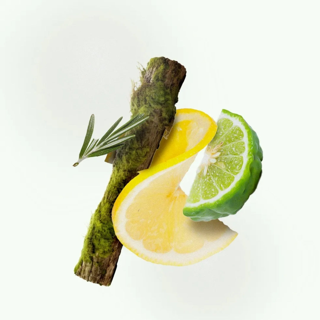 H Ocean Aromatic Woody Fougere Fragance Deo Cologne 100ml Chlorophylla Perfume