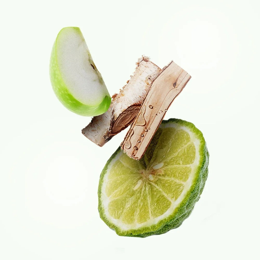 Marro Urban Deo Cologne Woody Aromatic Fragance 100ml Chlorophylla Perfume