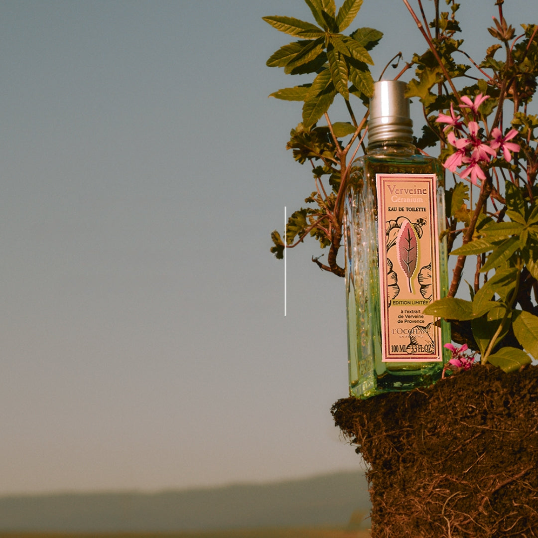 Verbena Geranio Eau de Toilette Musk Floral Body Fragance 100ml L'occitane