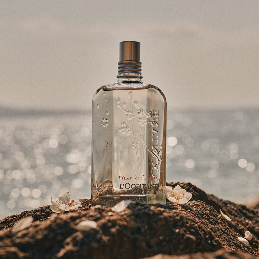 Flor de Cerejeira Cherry Eau de Toilette Floral Body Fragance 75ml L'occitane