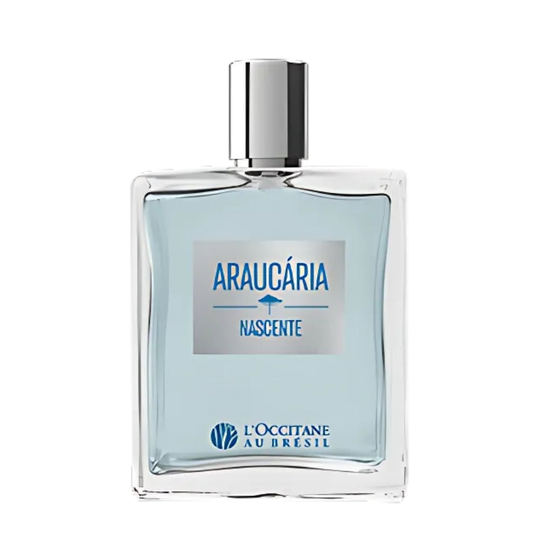 Au Bresil Araucaria Nascente Perfume Fragance 100ml L'occitane