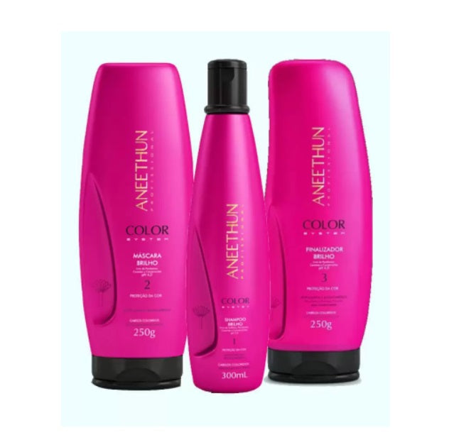 Aneethun Hair Care Kits Color System Hair Protection Maintenance Treatment Kit 3 Itens - Aneethun