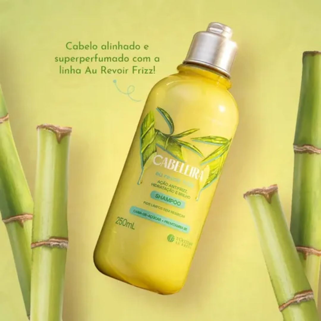 Au Revoir Frizz Smoothing Hair Care Shampoo 250ml L'occitane