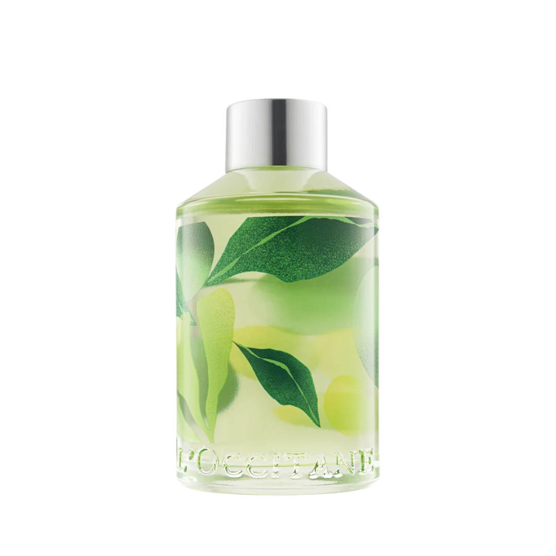 Au Brésil Frescor Revigorante Reed Diffuser Air Freshener 200ml L'Occitane