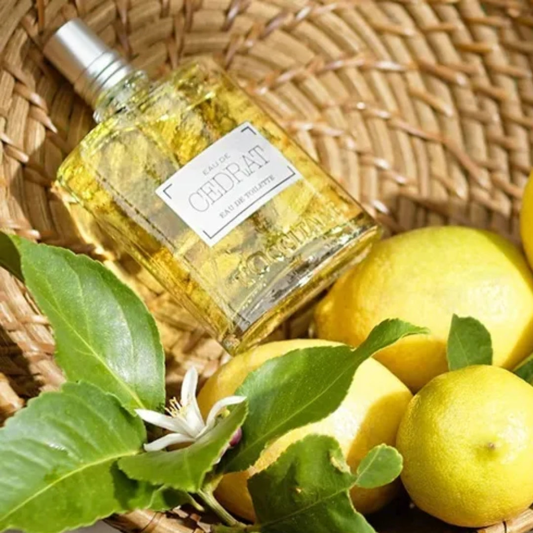 Cedrat Men Eau de Toilette Citrus Body Fragance 75ml L'occitane