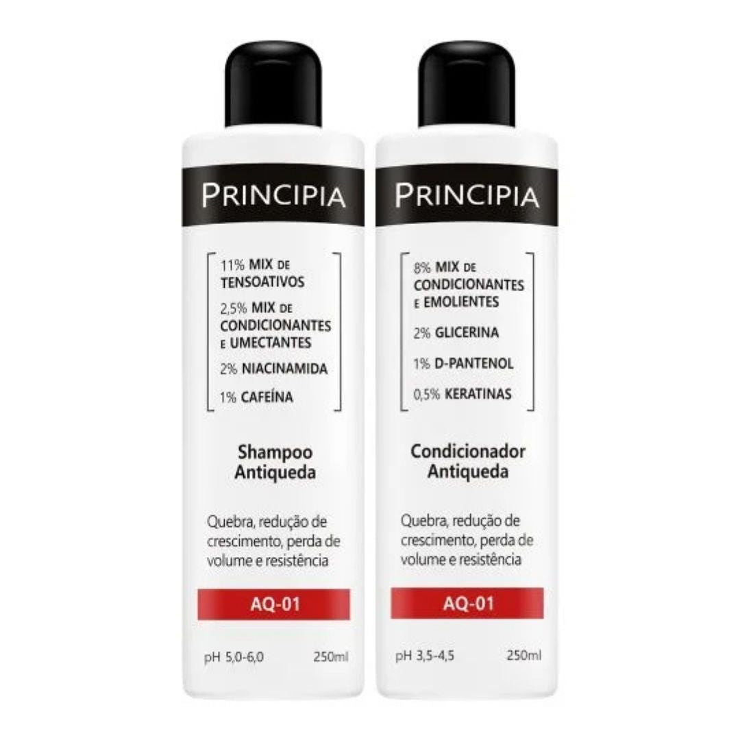 Aq01 Anti Hair Loss Growth Treatment Home Care Kit 2x 250ml Principia