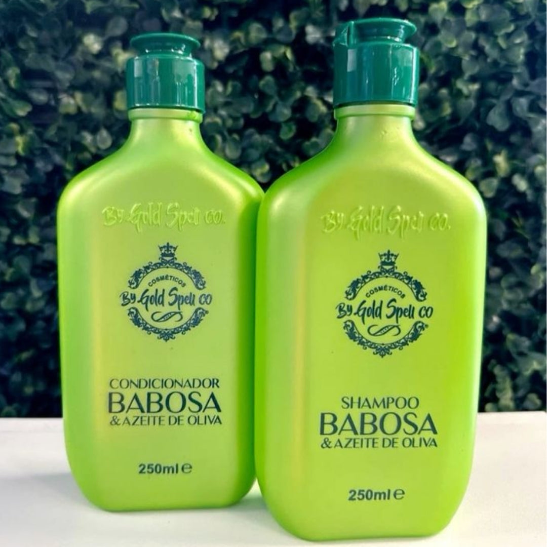 Babosa Azeite de Oliva Aloe Vera Olive Oil Home Care Kit 2x 250ml Everk