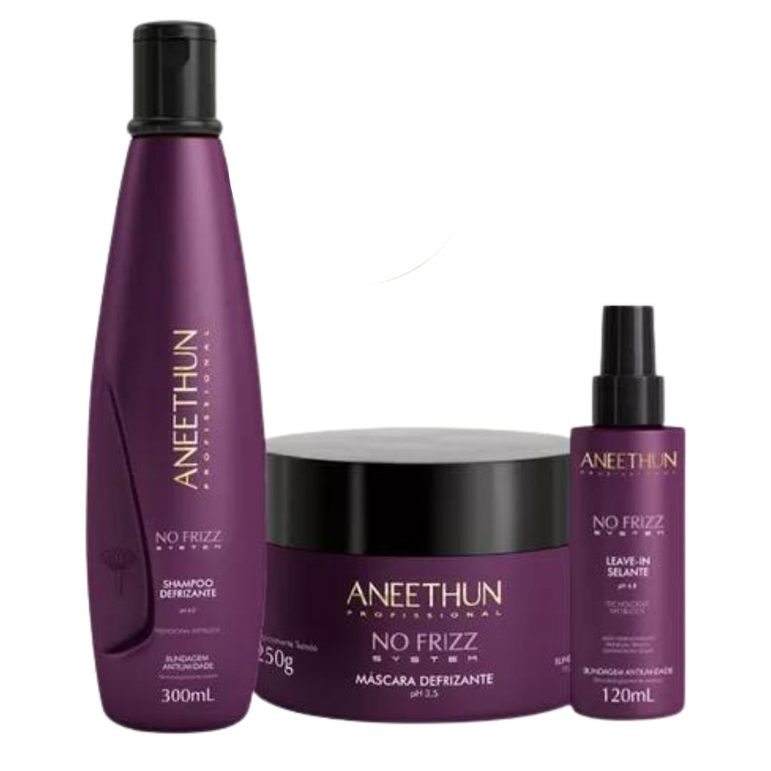 No Frizz System Home Care Straight Hair Kit 3 Itens Aneethun